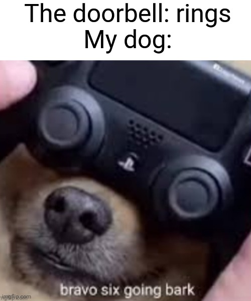 G o I n ba r k Imgflip