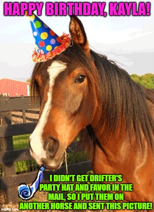 birthday horse Imgflip