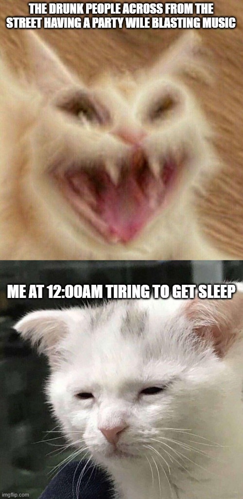 Crying Cat Thumbs Up Meme Deeper