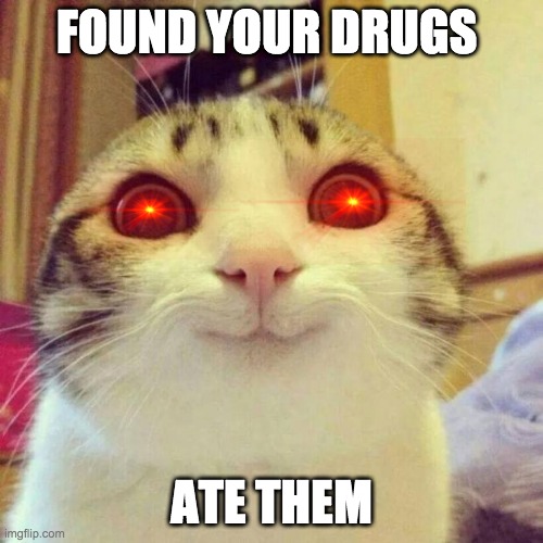 Smiling Cat Meme Imgflip