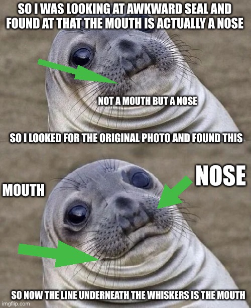 awkward seal Memes & GIFs Imgflip