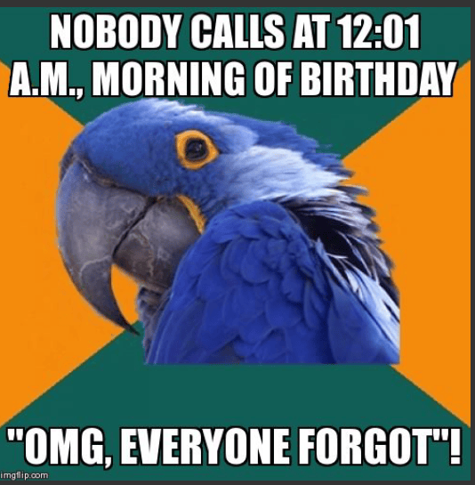 Image tagged in memes,animals,funny,paranoid parrot Imgflip