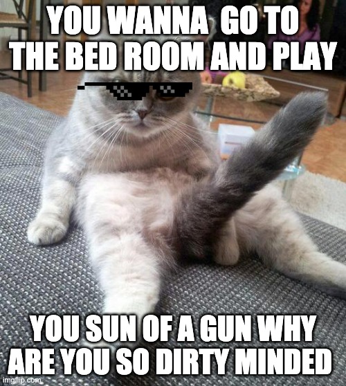 Sexy Cat Meme Imgflip