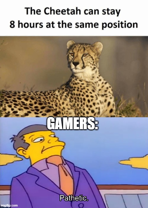 Image tagged in pathetic principal Imgflip