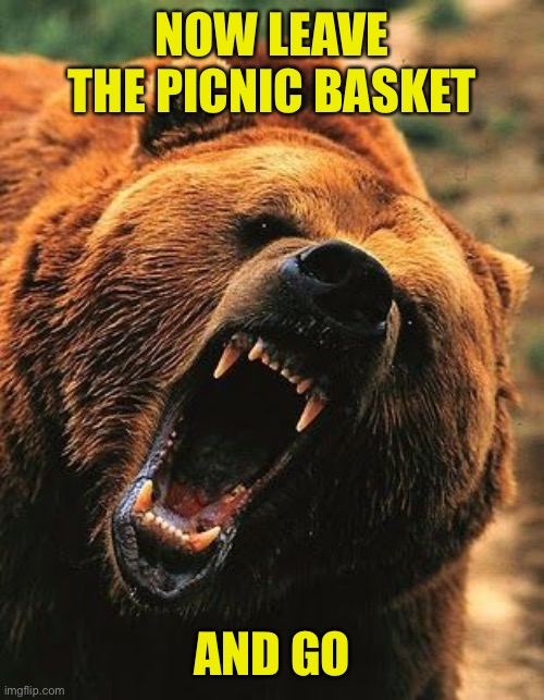 Friendly Bear Just Wants To Be Friends With Humans Imgflip