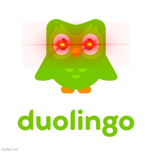 Duolingo Imgflip