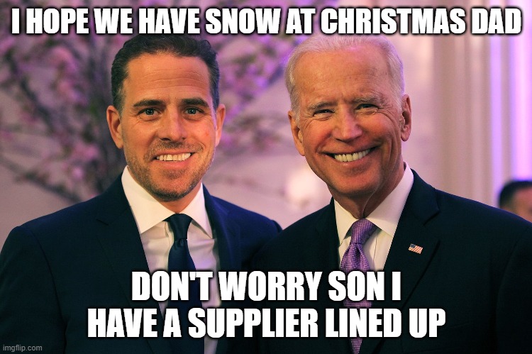 Joe and Hunter Biden Imgflip