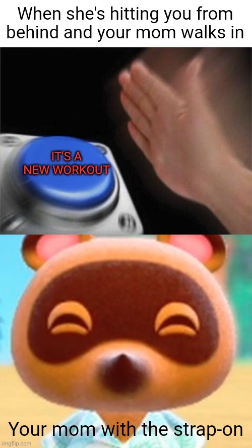 Image tagged in memes,blank nut button,tom nook Imgflip