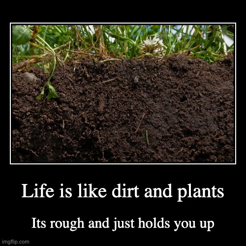 Life is like dirt and plants Imgflip