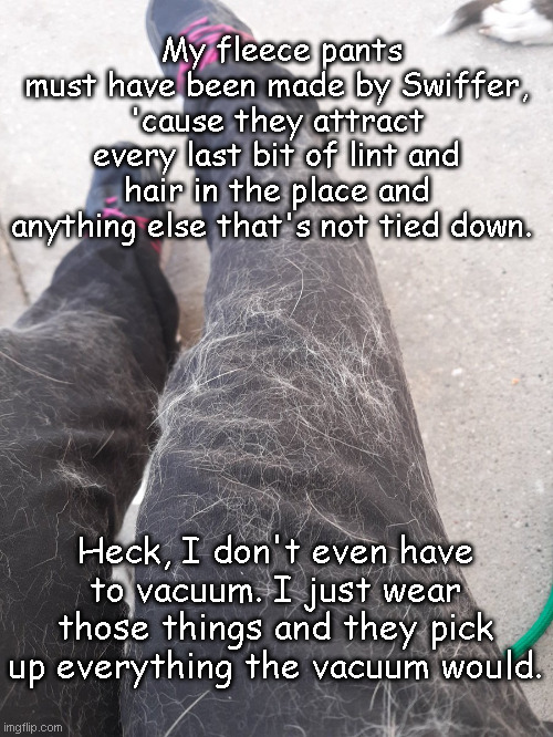 cat hair Memes & GIFs Imgflip