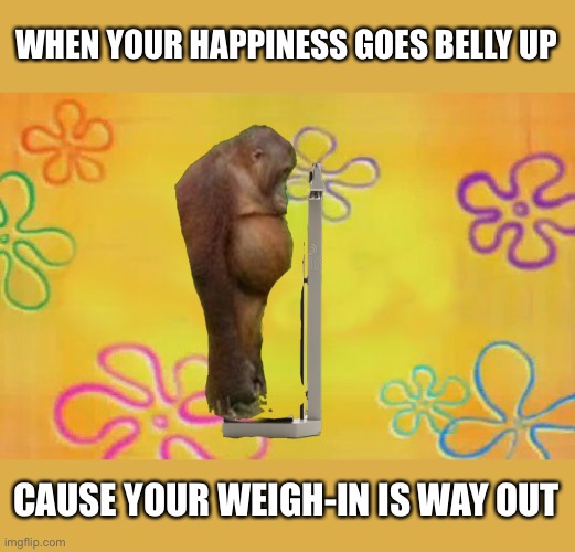 To Live Or Let Diet Imgflip