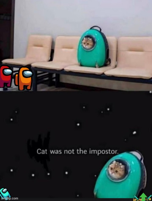 Among us IRL Imgflip