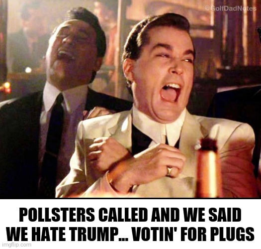 Pollsters Imgflip