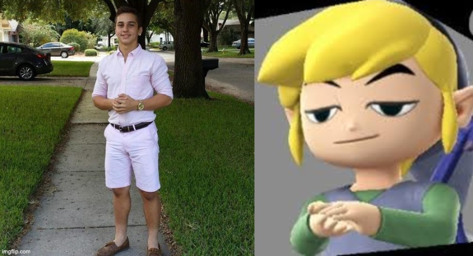 Toon link/ Smug toon link Imgflip