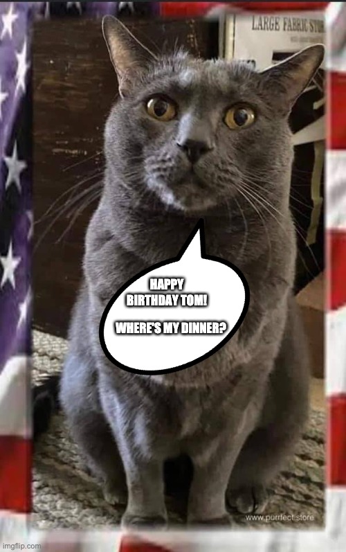 Happy Birthday Tom Imgflip