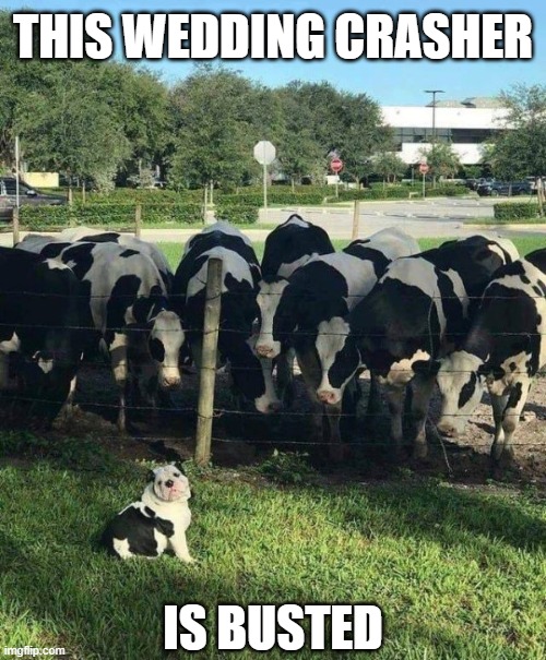 Wedding Crashers Imgflip