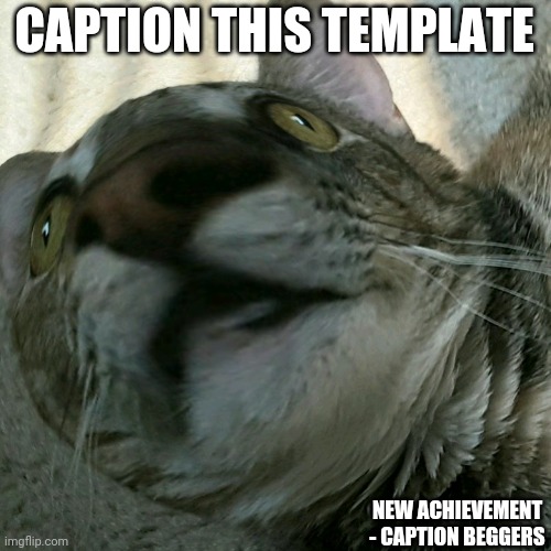 Image tagged in when something Imgflip