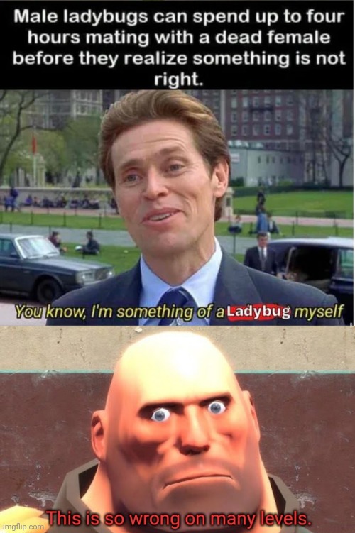 Image tagged in this is so wrong on many levels Imgflip