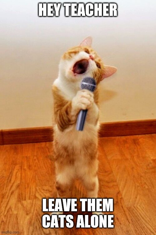 Singing cat Imgflip