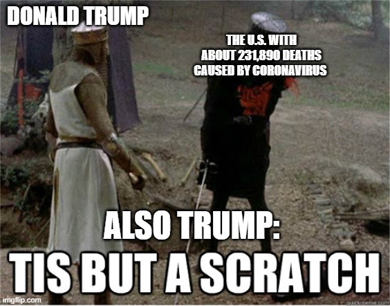 tis but a scratch Imgflip