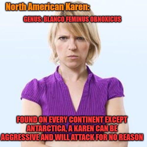 Angry woman Imgflip
