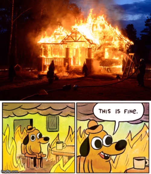 Image tagged in memes,this is fine Imgflip