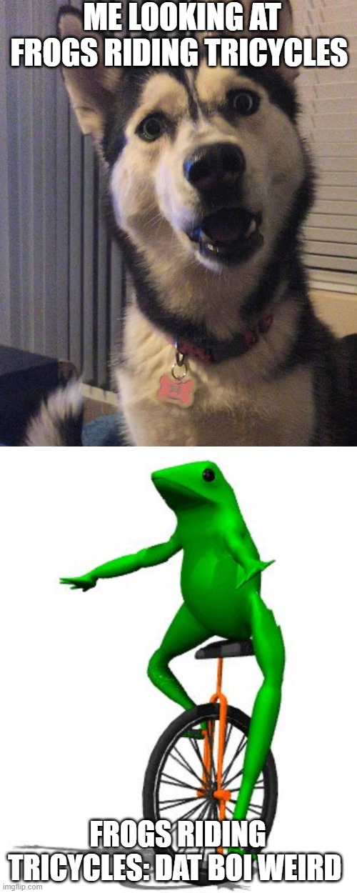 Image tagged in memes,dat boi Imgflip