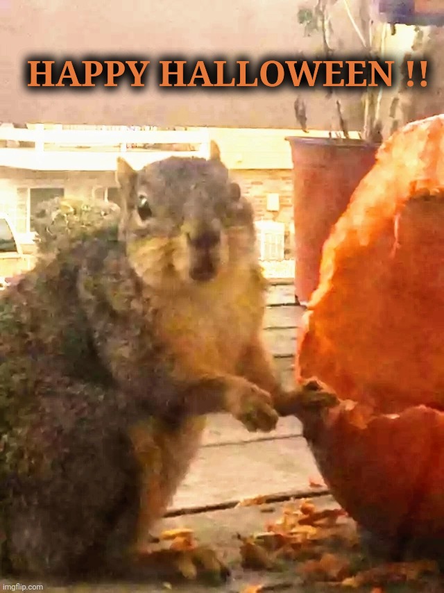 Happy Halloween Imgflip