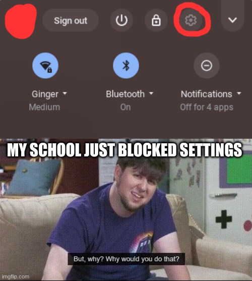 Image tagged in but why why would you do that Imgflip