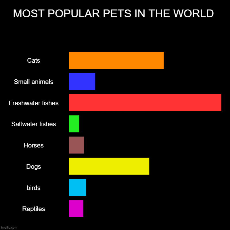 MOST POPULAR PETS IN THE WORLD Imgflip
