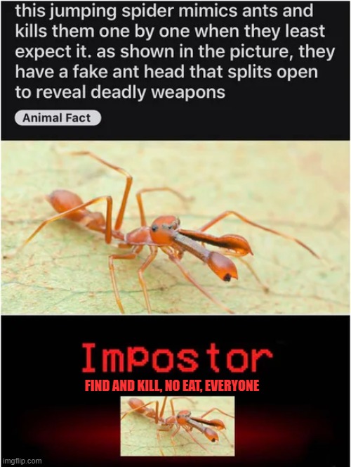 There is an imposter among us Imgflip