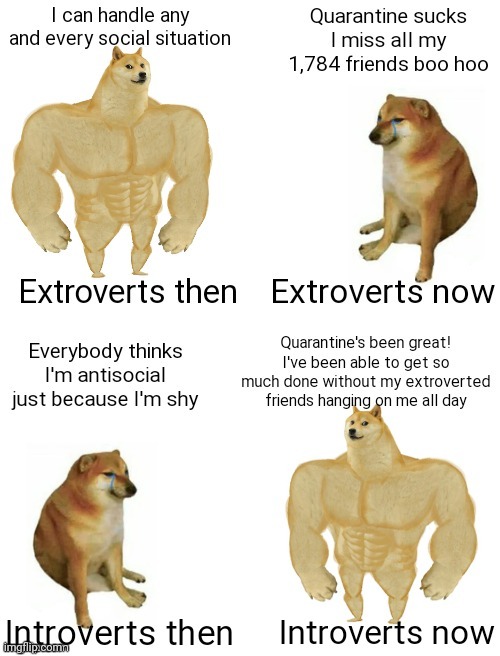 Image tagged in buff doge vs cheems,introverts,extroverts Imgflip
