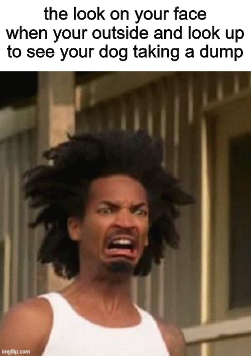 Uh Imgflip