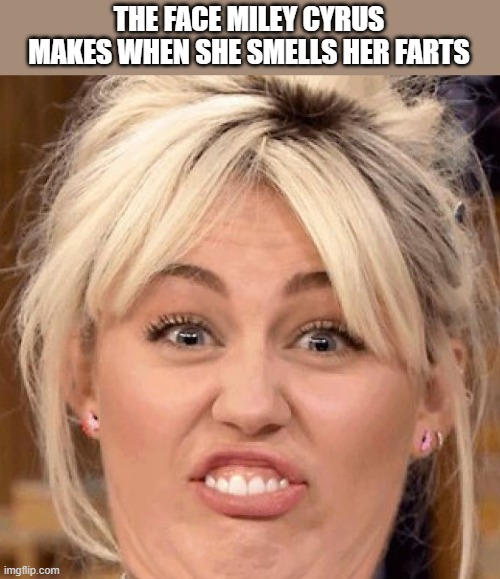 When Miley Cyrus Smells Her Farts Imgflip