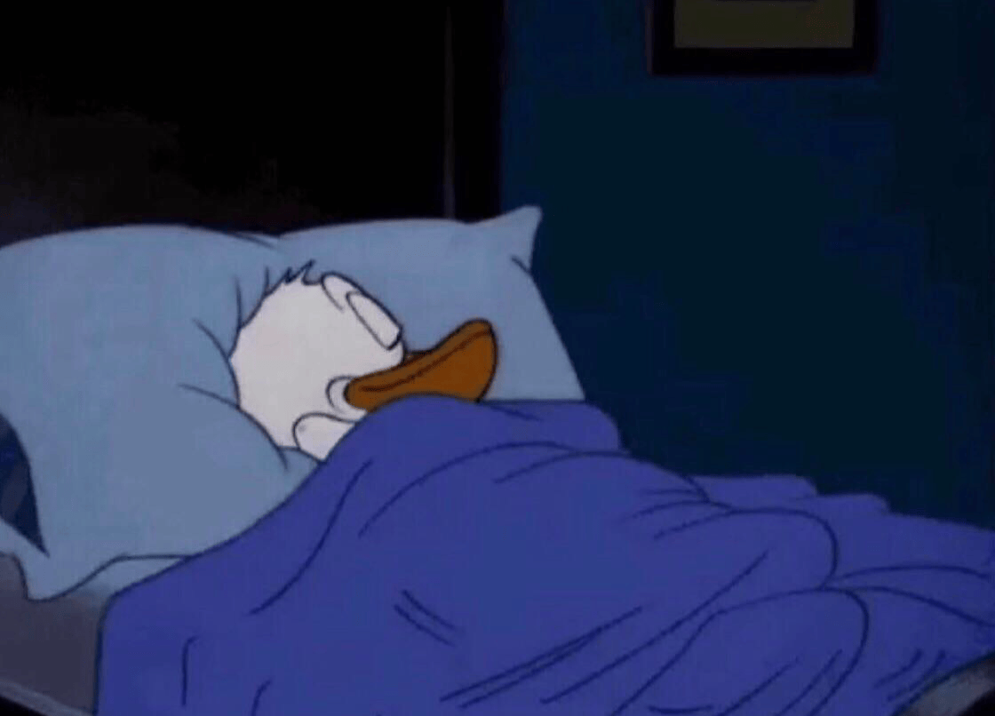 Sleeping Donald Duck Blank Template Imgflip