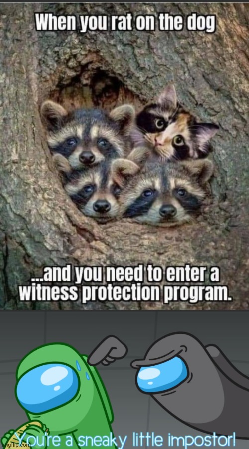 Image tagged in you're a sneaky little imposter,memes Imgflip