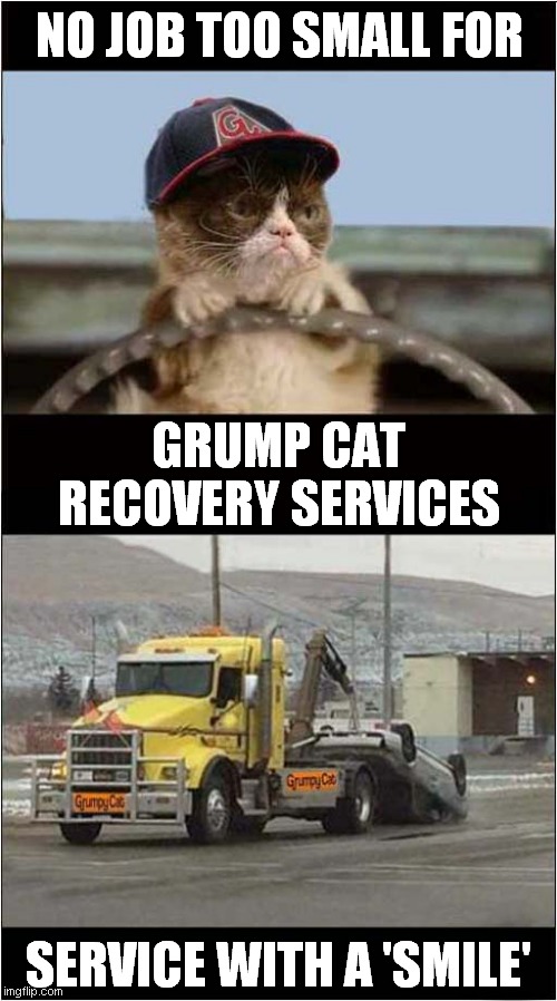 Grumpy Recovery Imgflip