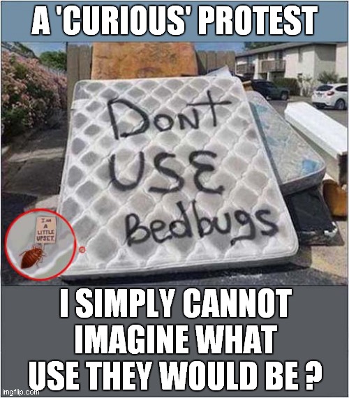 Bed Bug Exploitation Imgflip