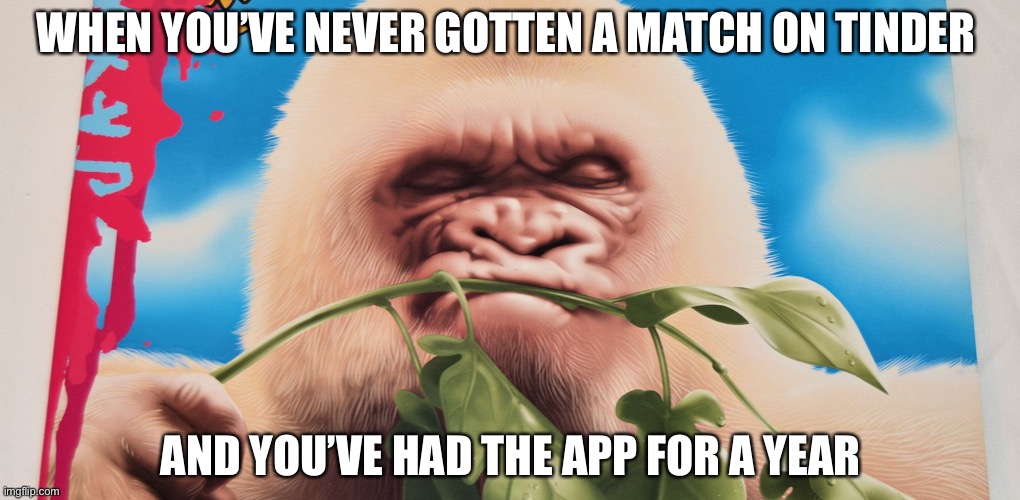 Angry Albino Gorilla Imgflip