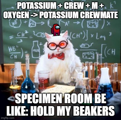 Chemistry Cat Meme Imgflip