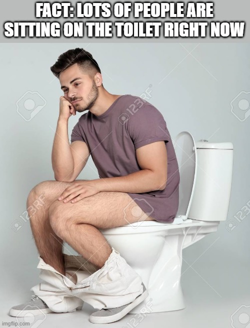 Lots Of People Are Sitting On The Toilet Imgflip