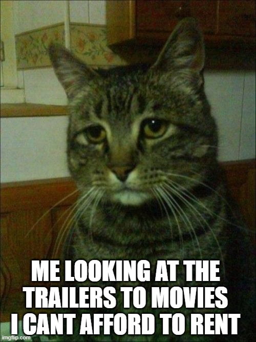 Depressed Cat Meme Imgflip