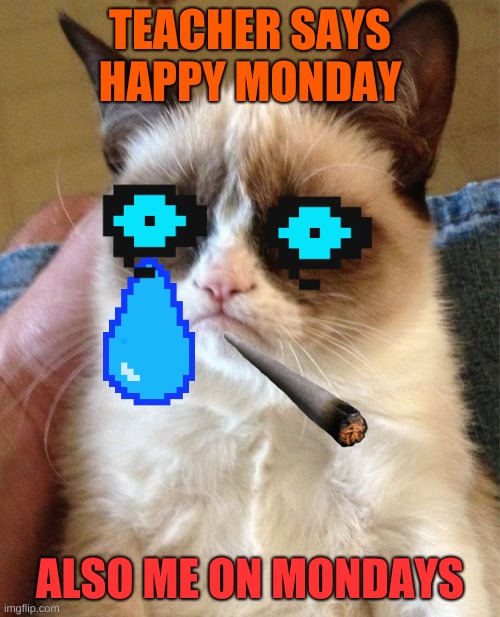 Grumpy Cat Meme Imgflip