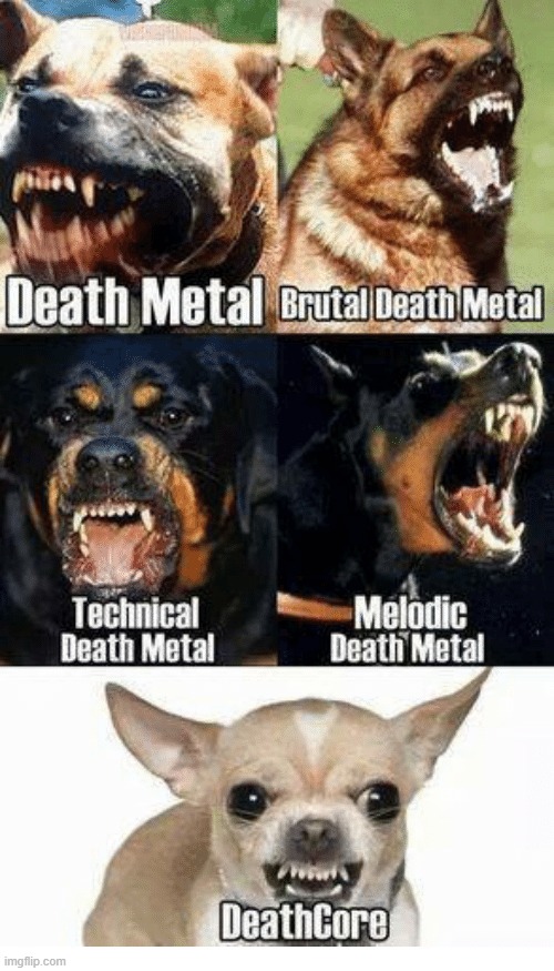 The Metal Dogs (Gods) Imgflip