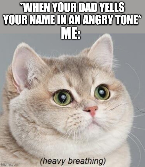 Heavy Breathing Cat Meme Imgflip