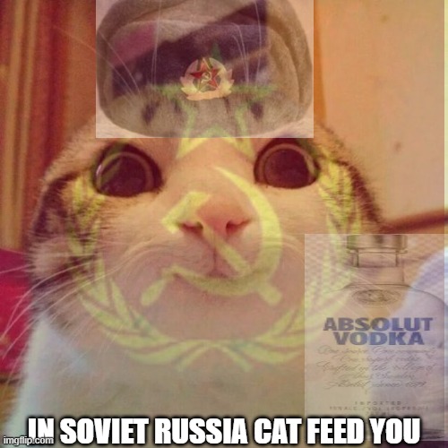 Image tagged in in soviet russia,cat Imgflip