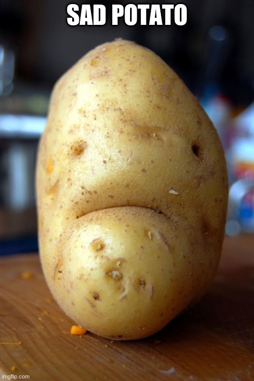 Funny Potato Memes
