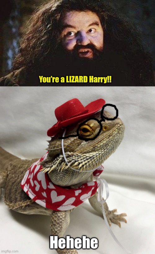 You’re a LIZARD Harry! Imgflip