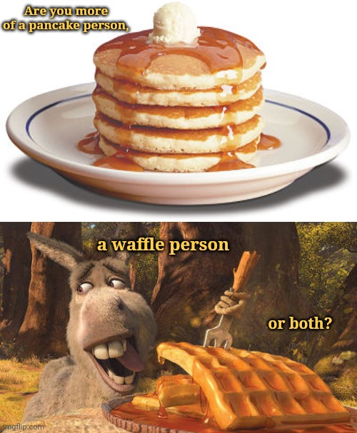 Are you more of a pancake person, a waffle person, or both? Imgflip