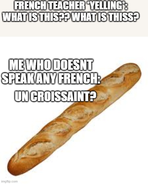 baguette Memes & GIFs Imgflip
